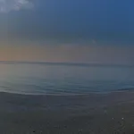 Dei Due Ulivi *